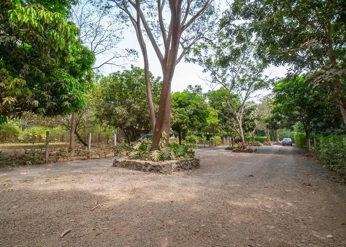 Avellanas