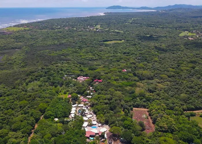 Avellanas