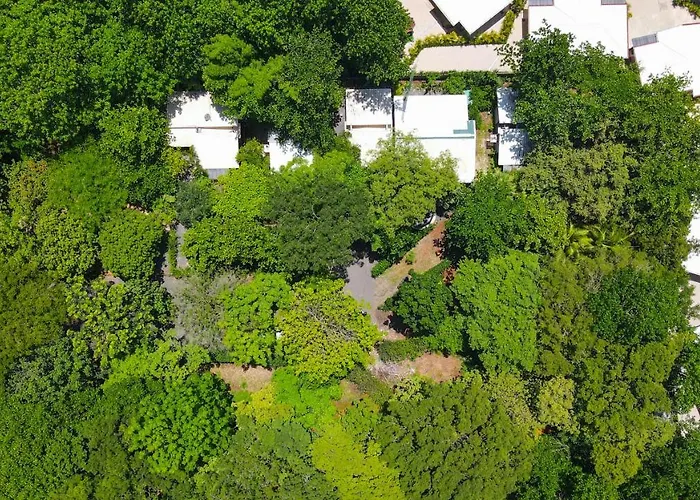 Villa Avellanas