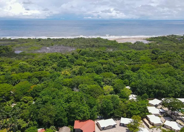 Avellanas